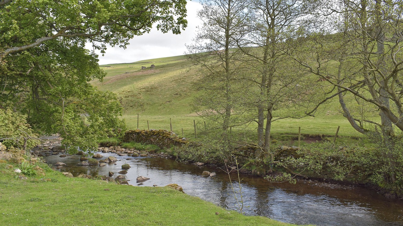 Photo of Others in Fremington