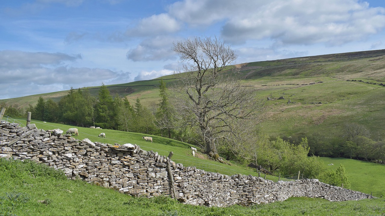 Photo of Others in Fremington