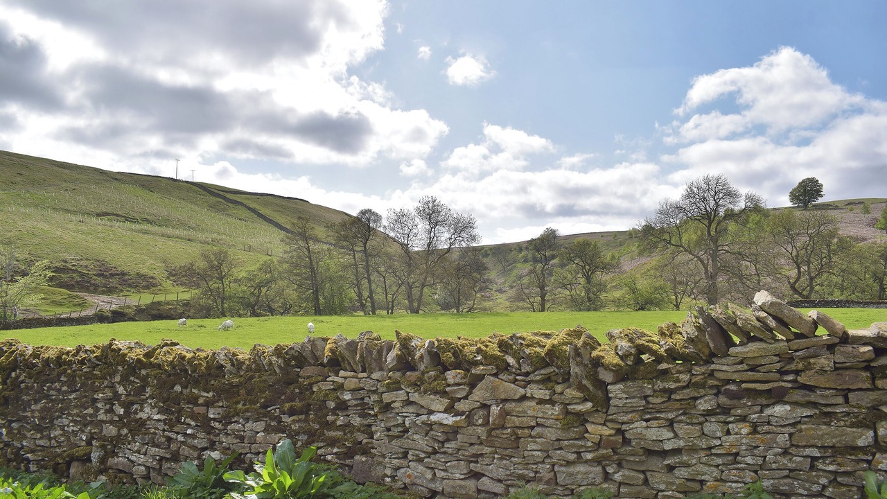 Photo of Others in Fremington