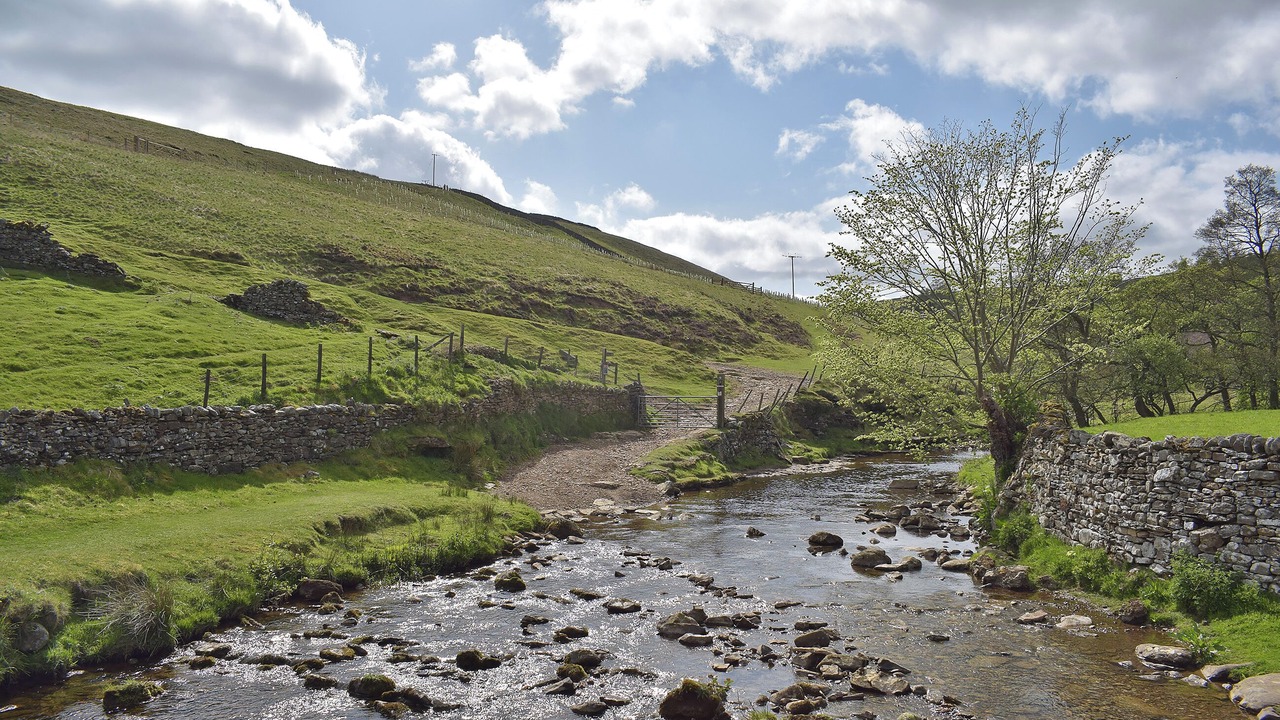 Photo of Others in Fremington