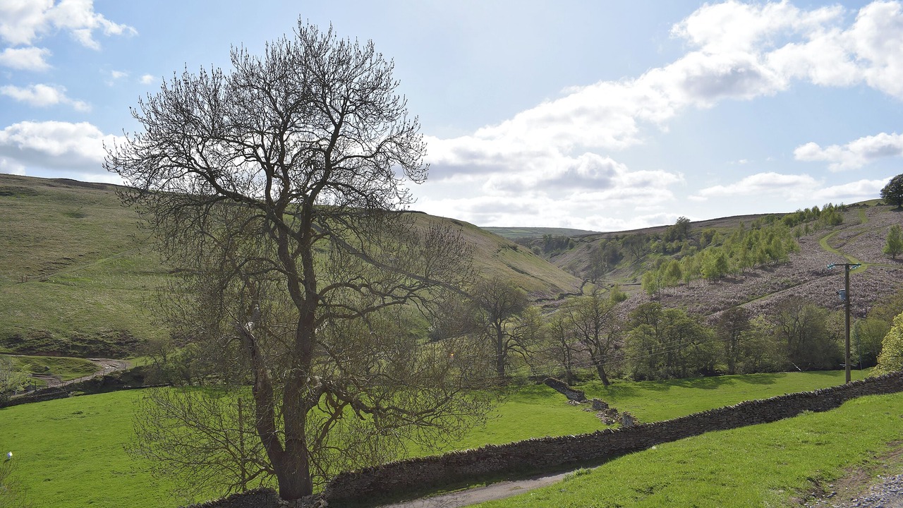 Photo of Others in Fremington