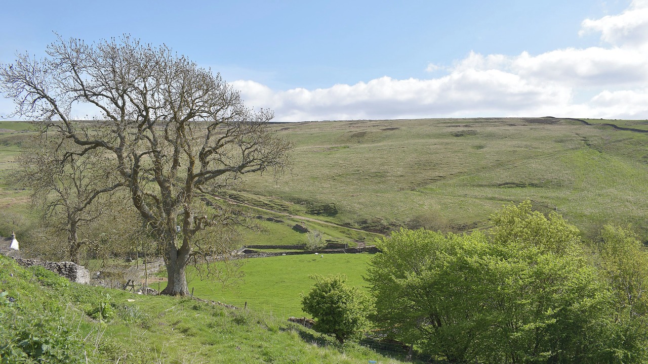 Photo of Others in Fremington