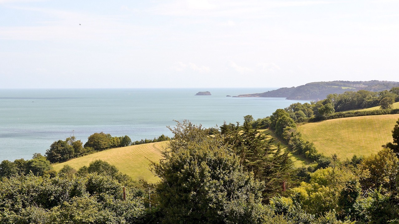 Photo of Others in Torquay