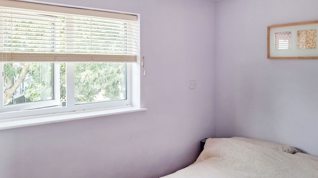 Photo of Others in Bude