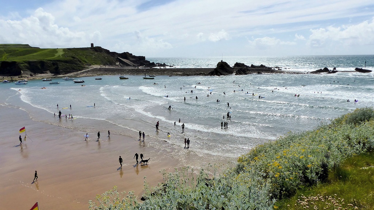 Photo of Others in Bude