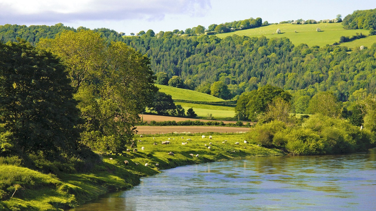 Photo of Others in Chepstow