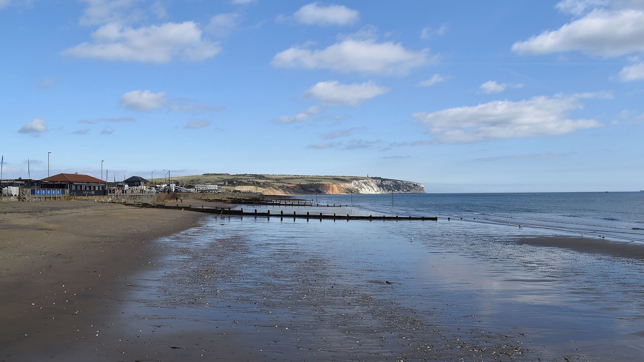 Photo of Others in Sandown