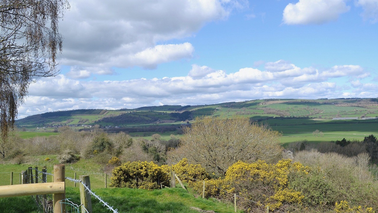 Photo of Others in Kingswood