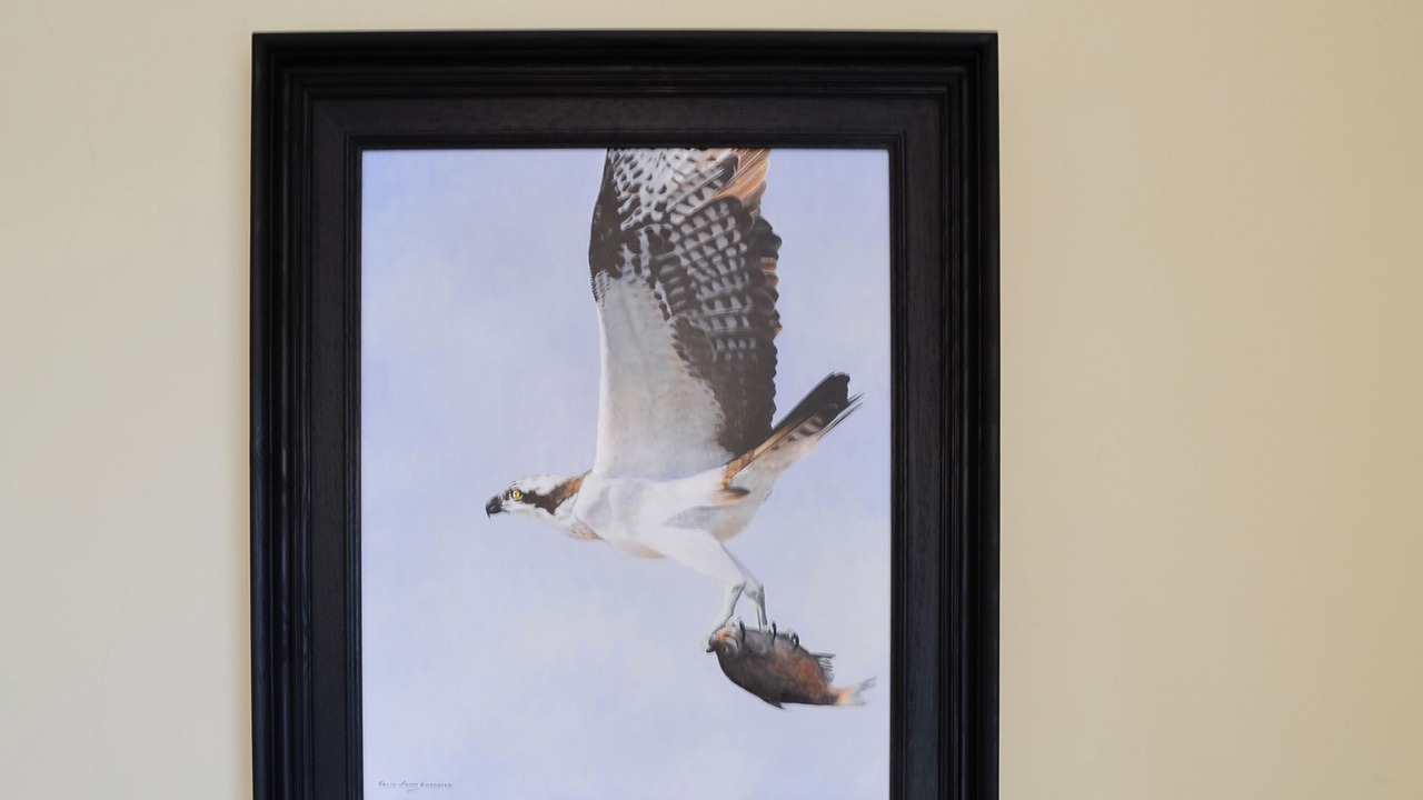 Photo of Others in Kirriemuir