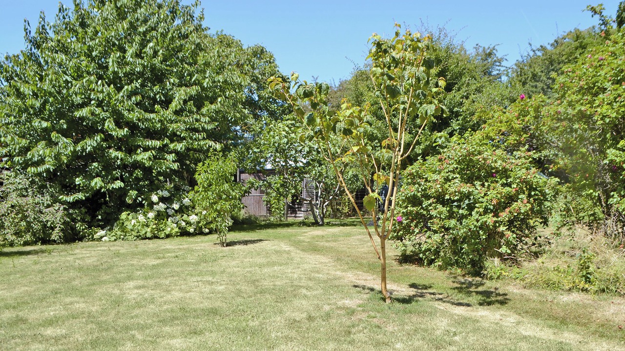 Photo of Others in Littlehampton