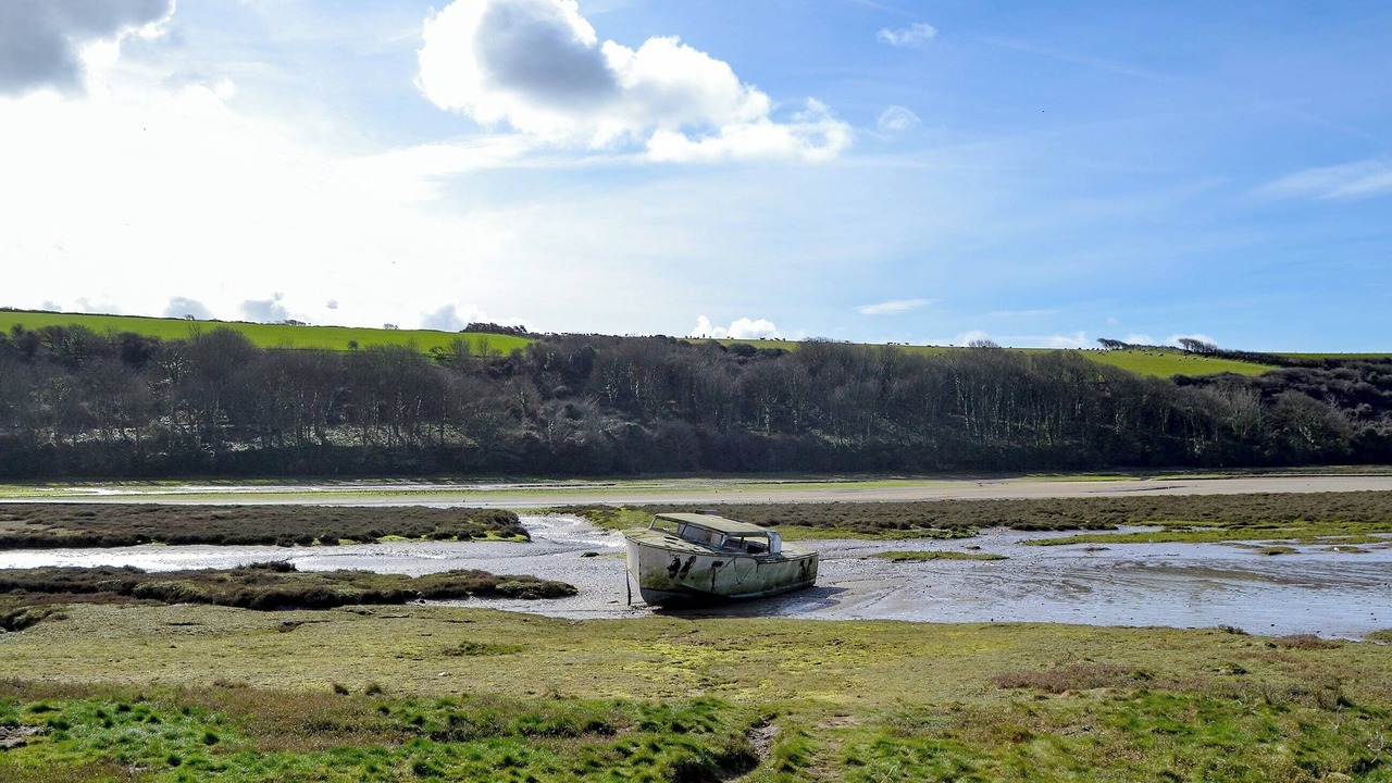 Photo of Others in Newquay