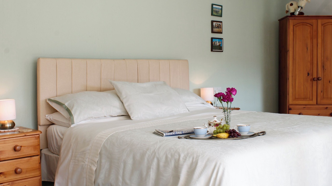 Photo of Others in Barnstaple