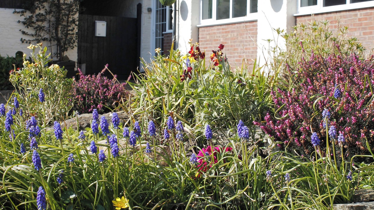 Photo of Others in Barnstaple