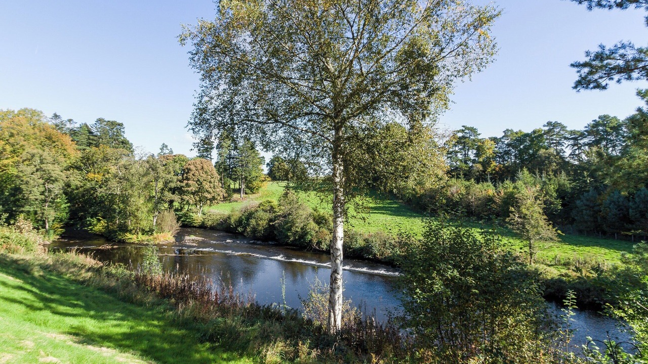 Photo of Others in Kirkmichael