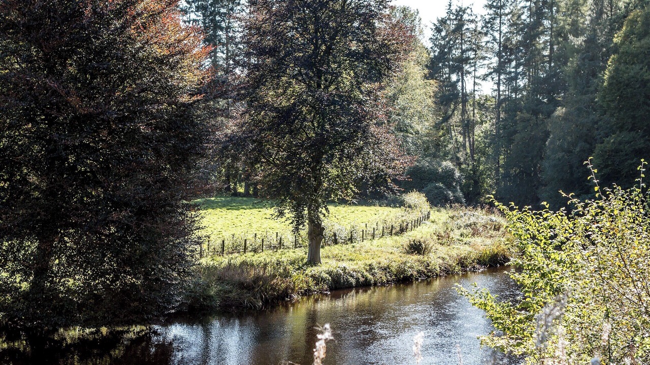 Photo of Others in Kirkmichael