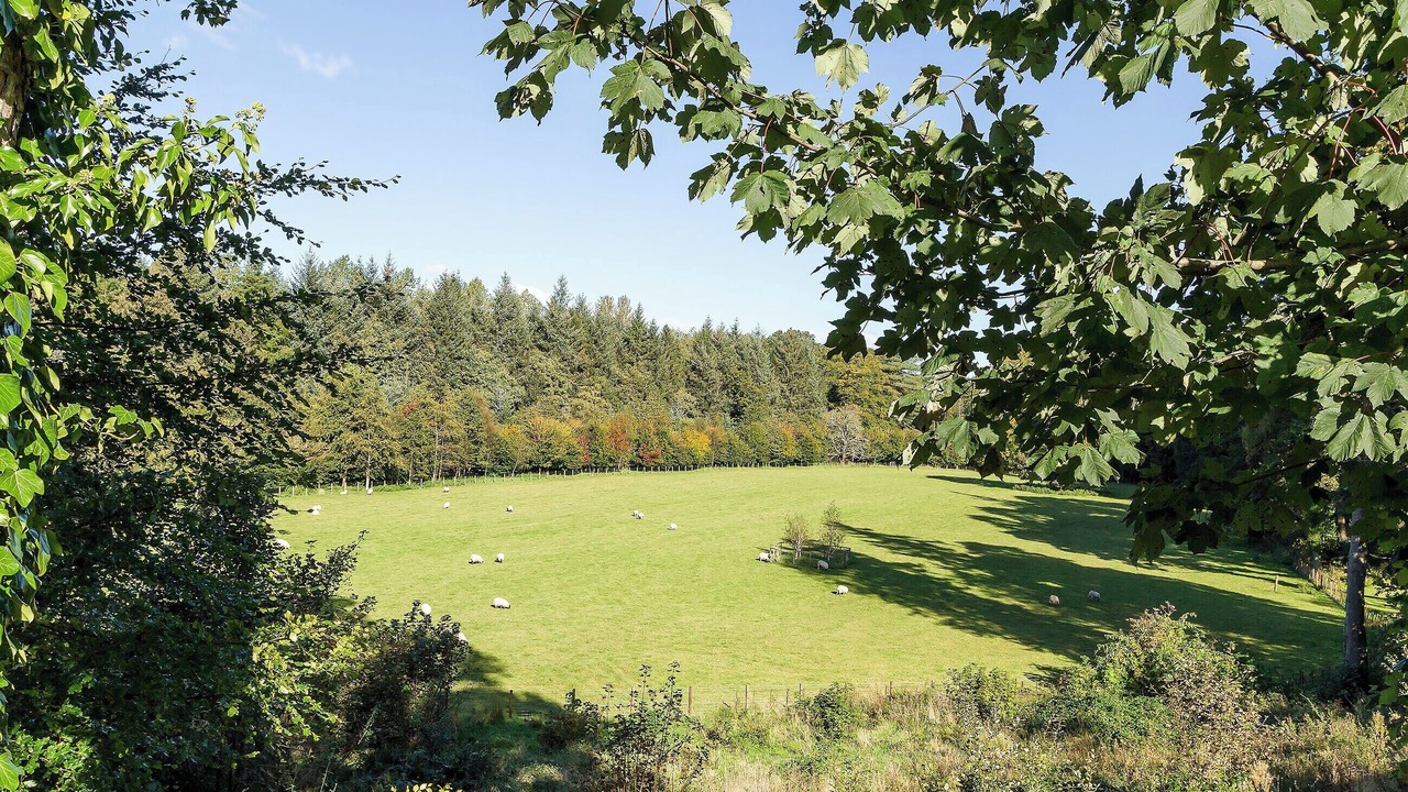 Photo of Others in Kirkmichael