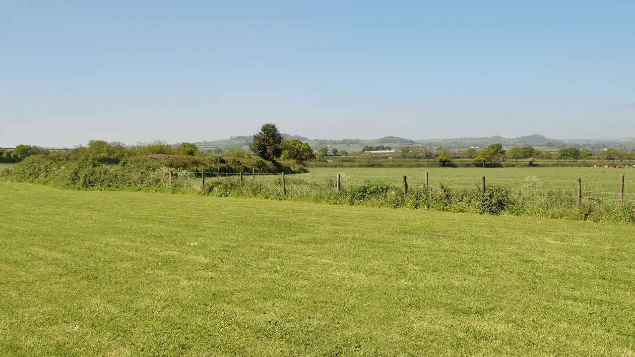 Photo of Others in North Perrott