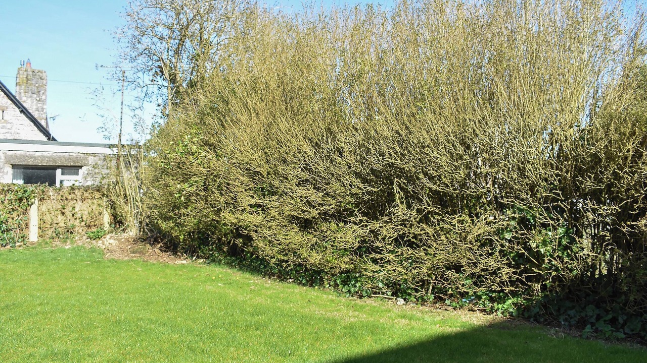 Photo of Outdoor in Puddletown