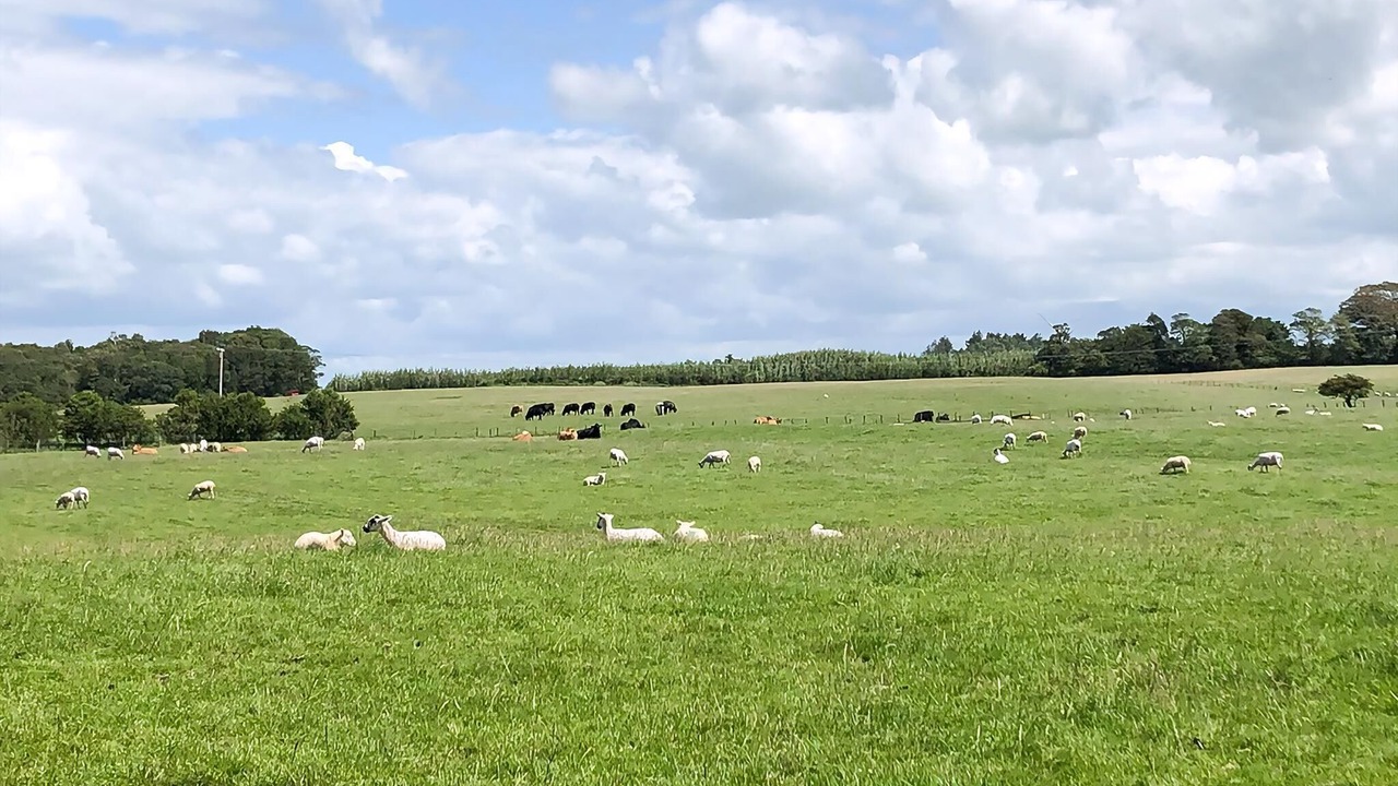 Photo of Others in Aspatria