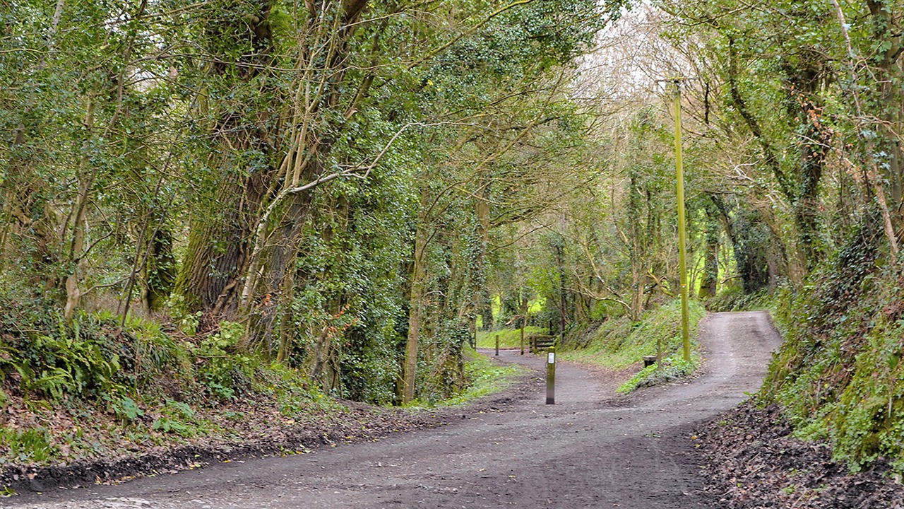 Photo of Others in Bodmin