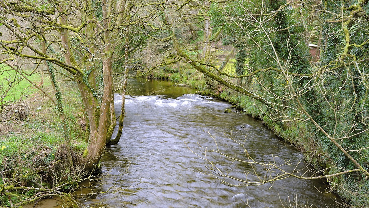 Photo of Others in Bodmin