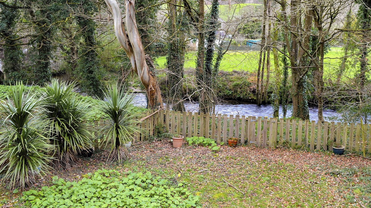 Photo of Outdoor in Bodmin