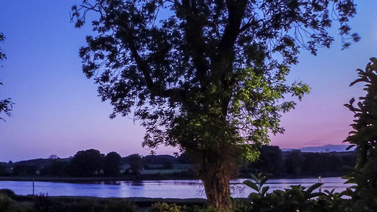 Photo of Others in Kirkcudbright