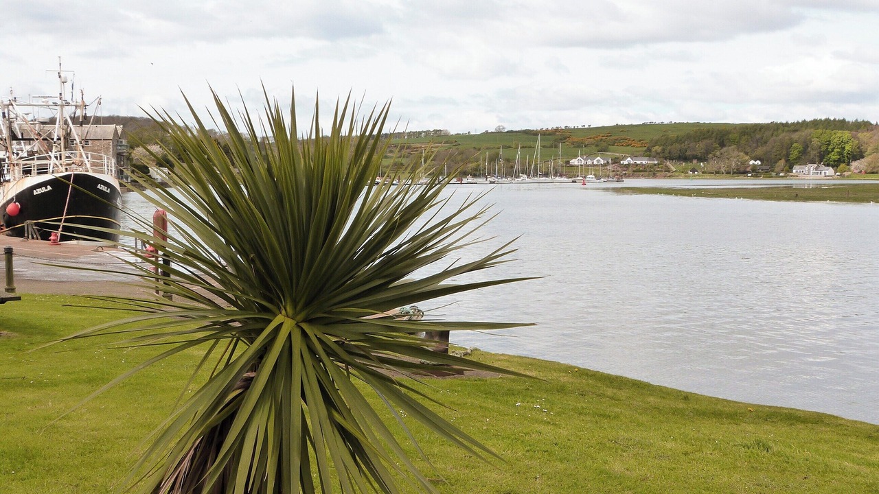 Photo of Others in Kirkcudbright