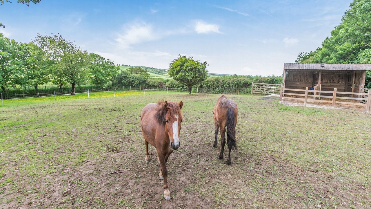 Photo of Others in Hartland