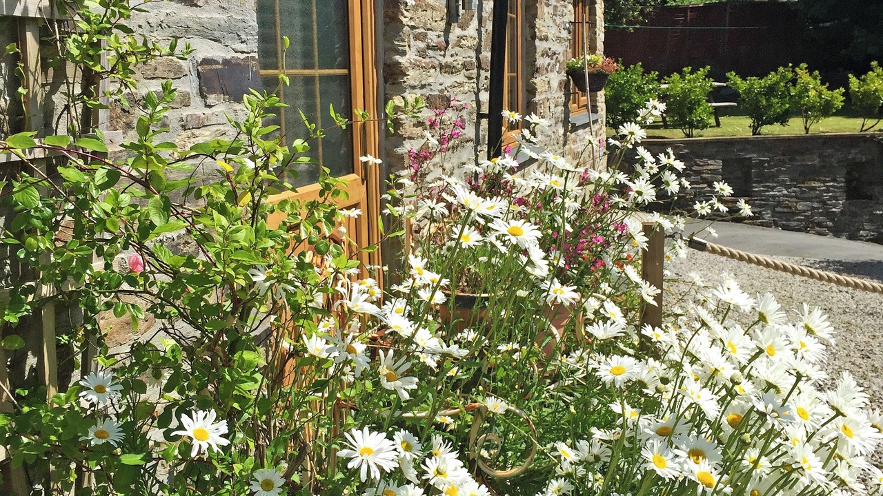 Photo of Others in Lower Trengale