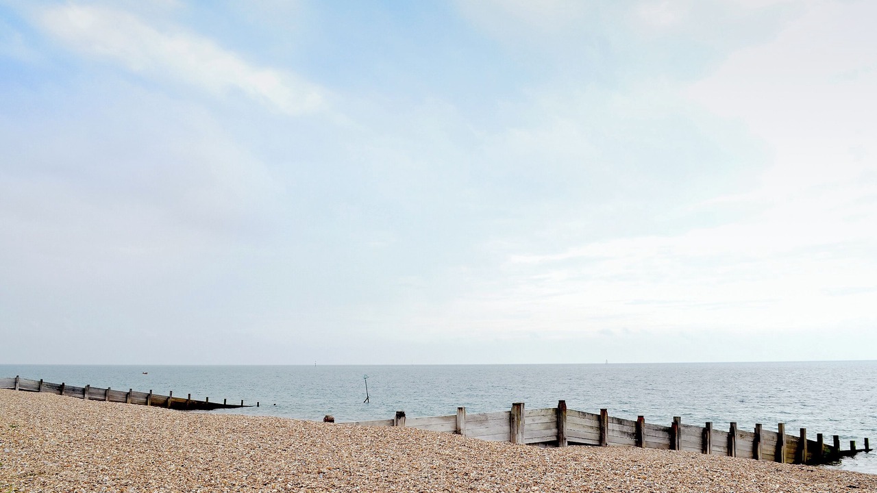 Photo of Others in South Hayling