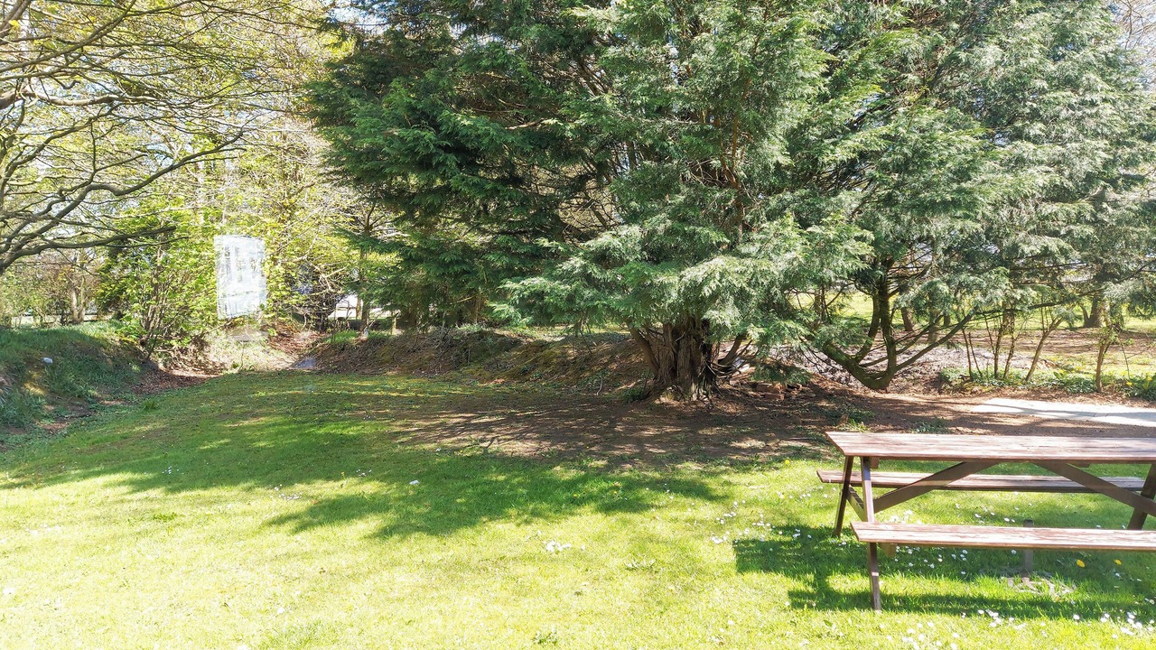 Photo of Outdoor in Honiton