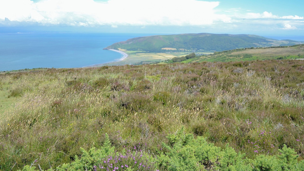 Photo of Others in Honiton