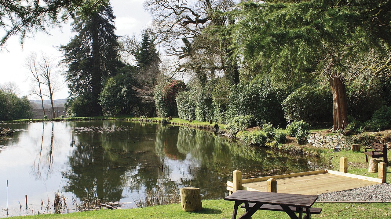 Photo of Others in Liskeard