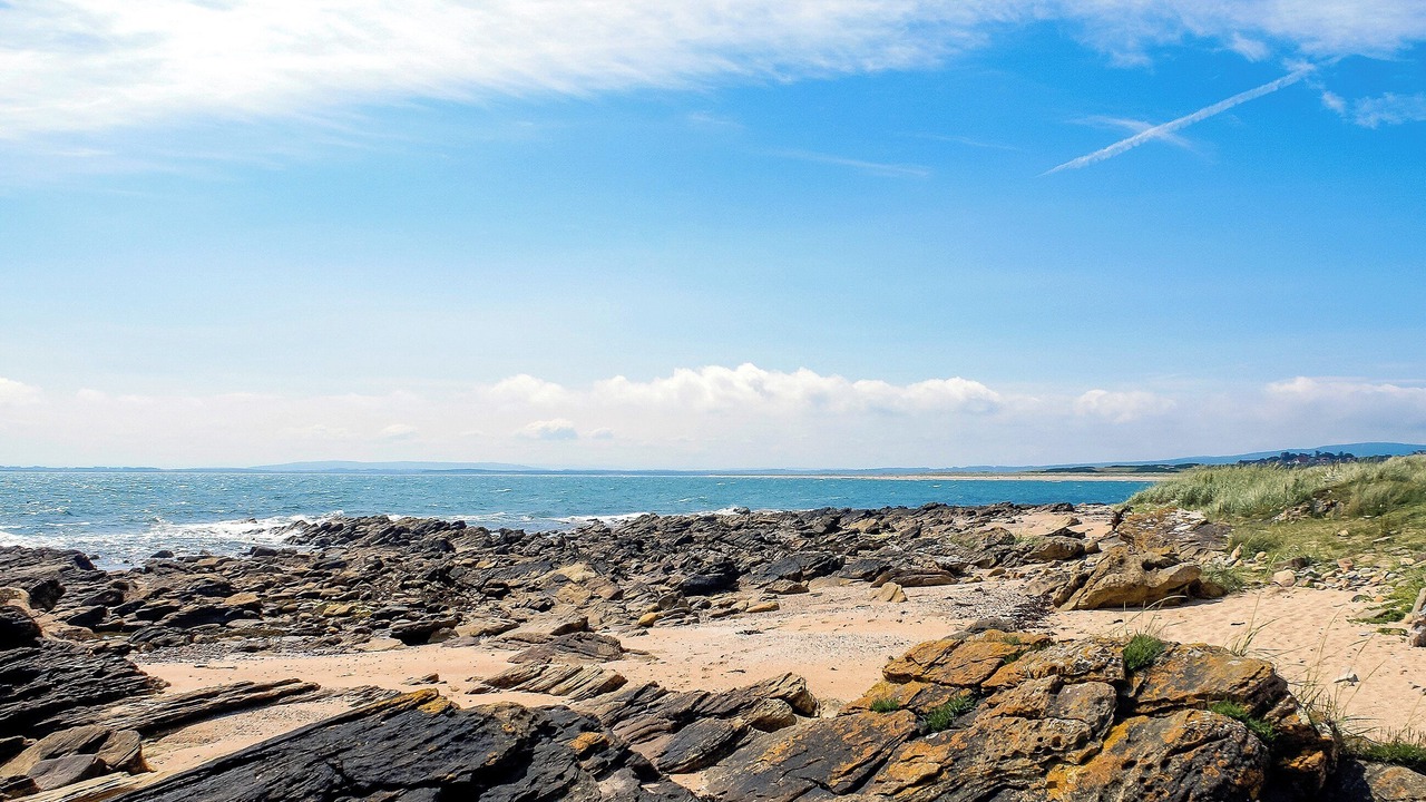 Photo of Others in Brora