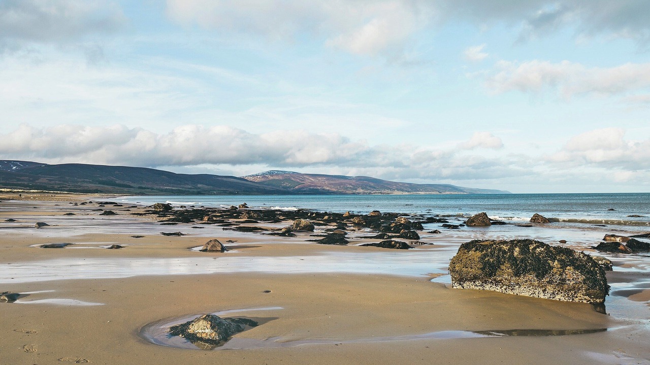 Photo of Others in Brora