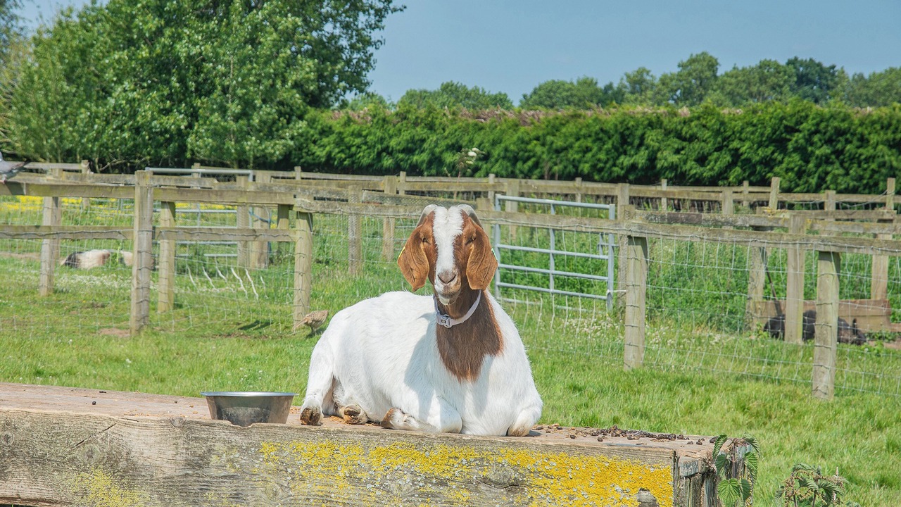 Photo of Others in Great Hatfield