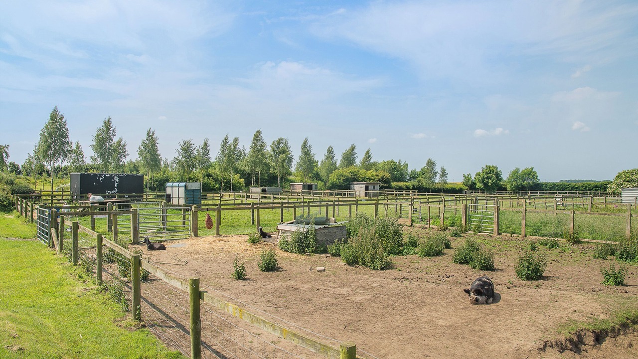 Photo of Others in Great Hatfield