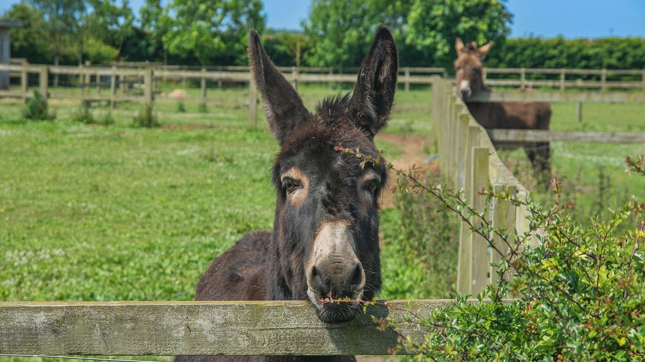 Photo of Others in Great Hatfield