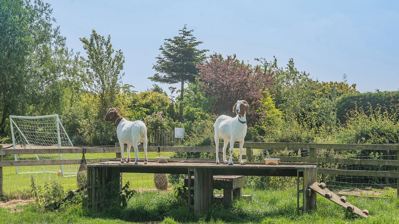 Photo of Others in Great Hatfield