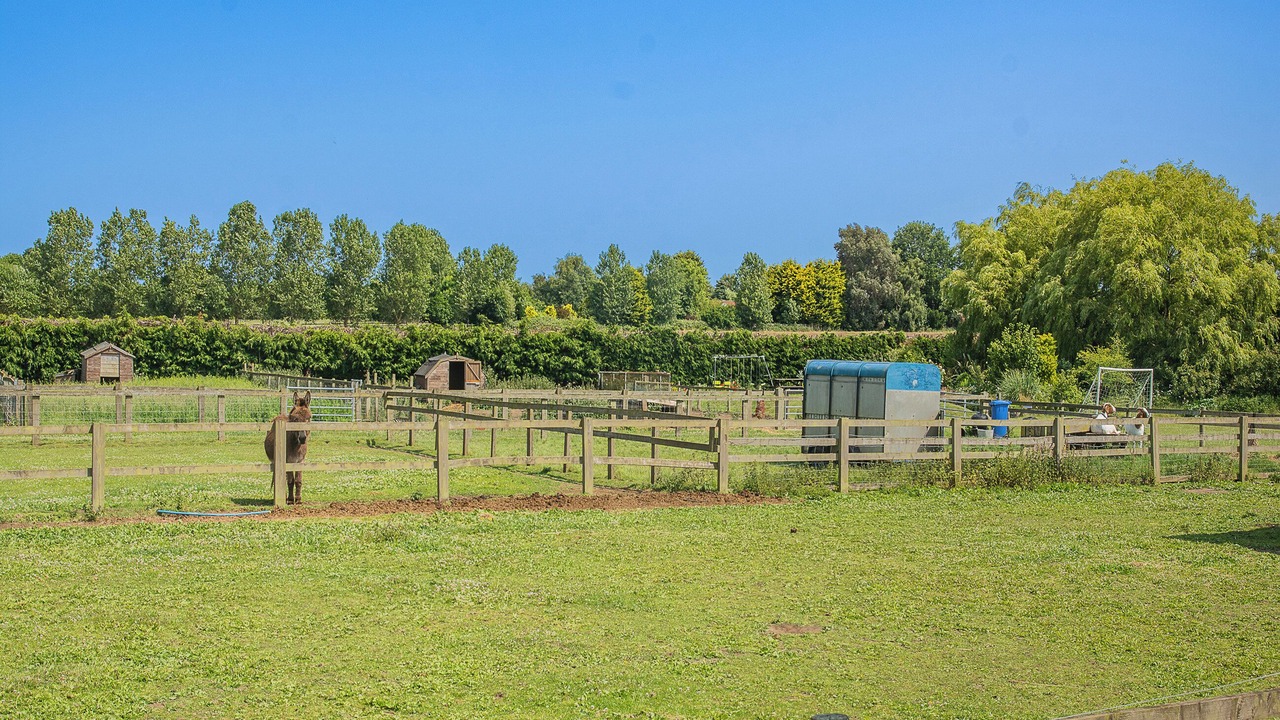 Photo of Others in Great Hatfield