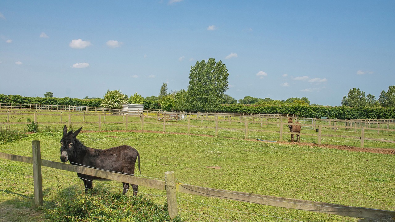 Photo of Others in Great Hatfield