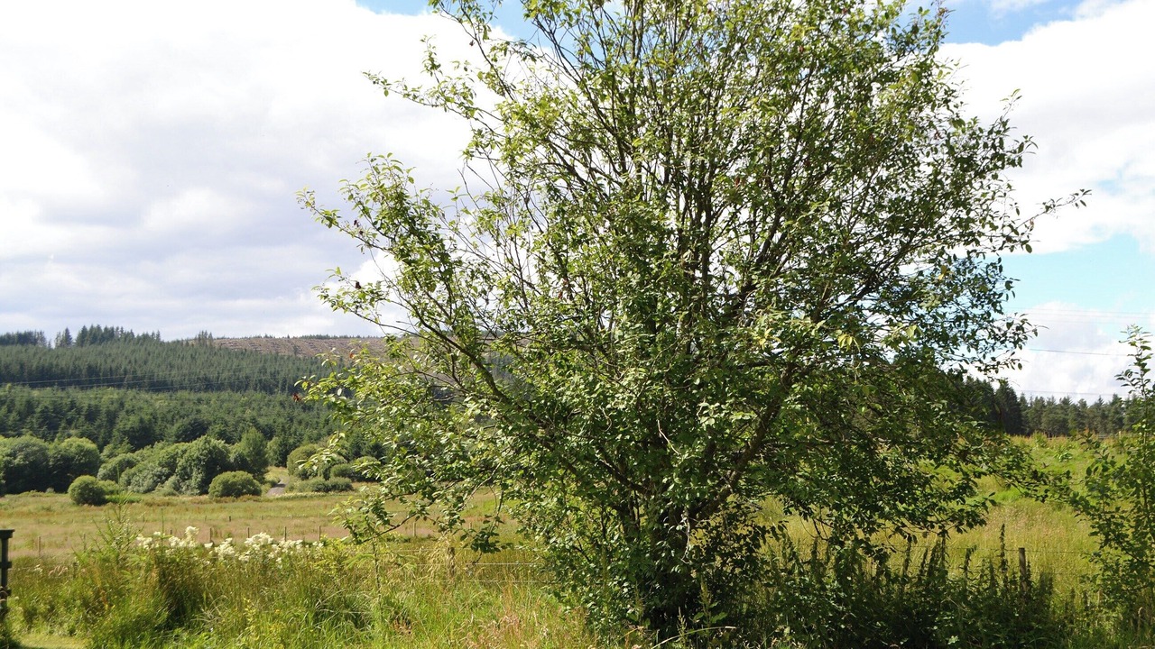 Photo of Outdoor in Northumberland