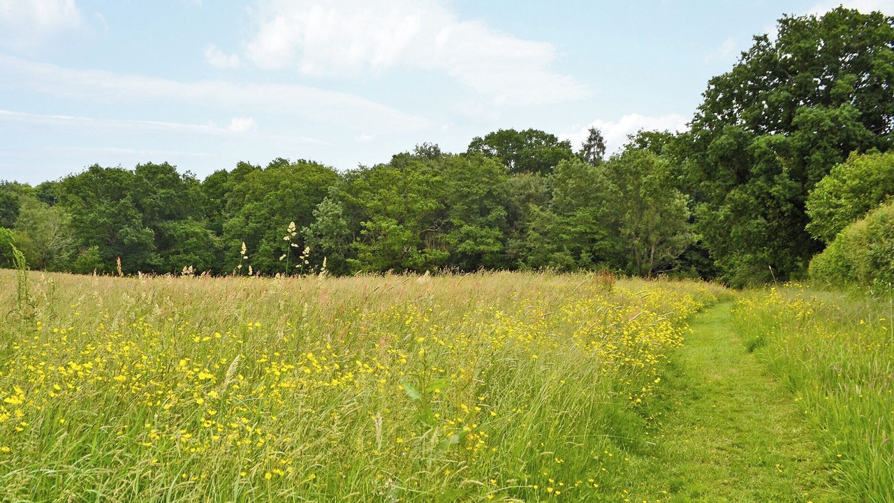 Photo of Others in Sharpthorne