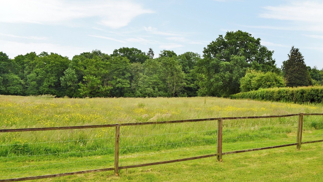 Photo of Others in Sharpthorne