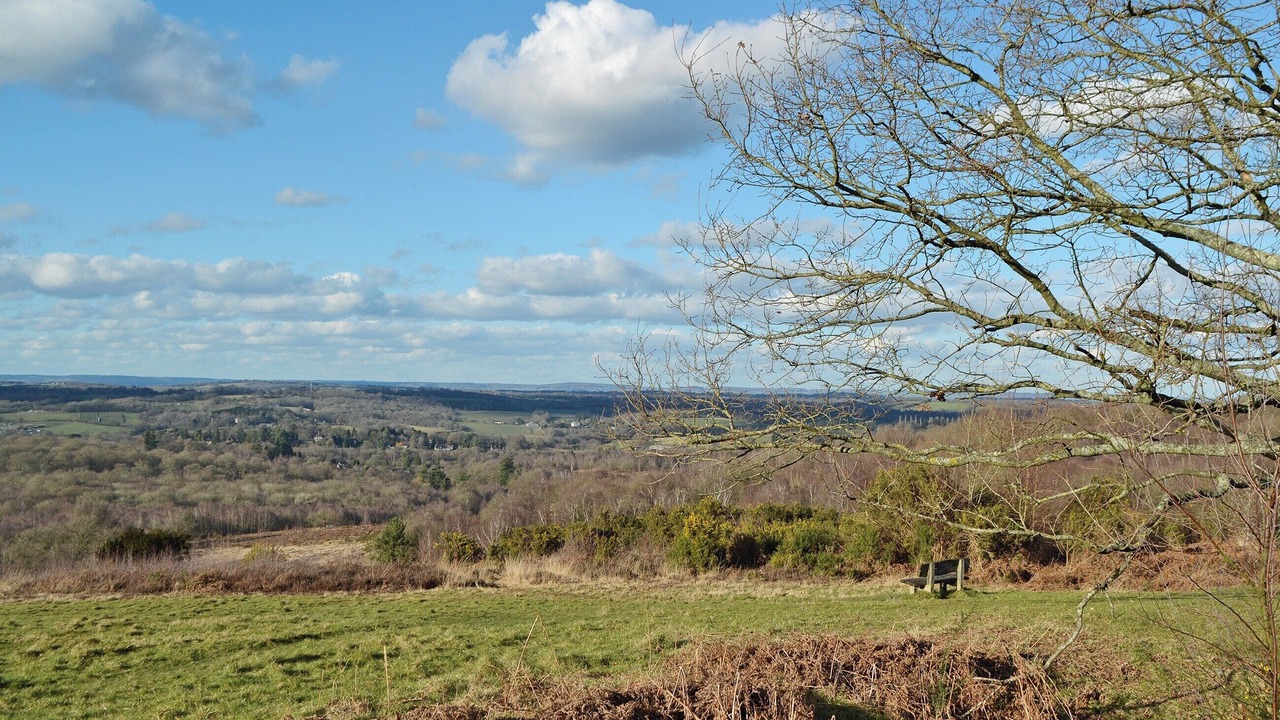 Photo of Others in Sharpthorne