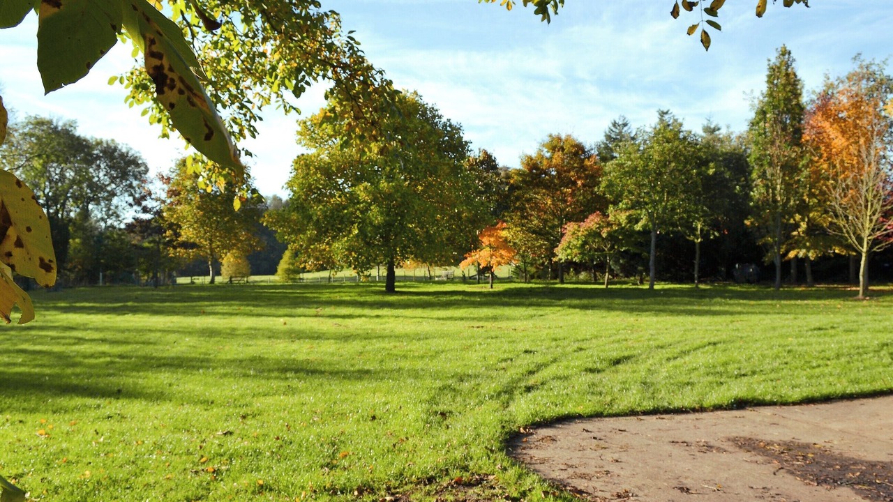 Photo of Outdoor in Darlington