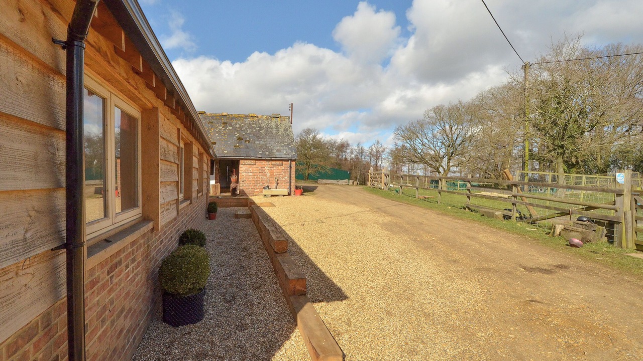 Photo of Others in New Forest District