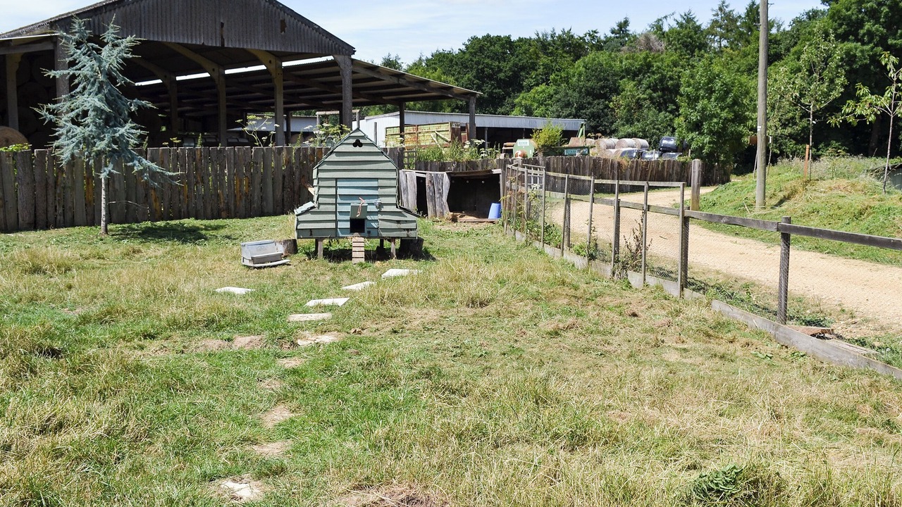 Photo of Others in New Forest District