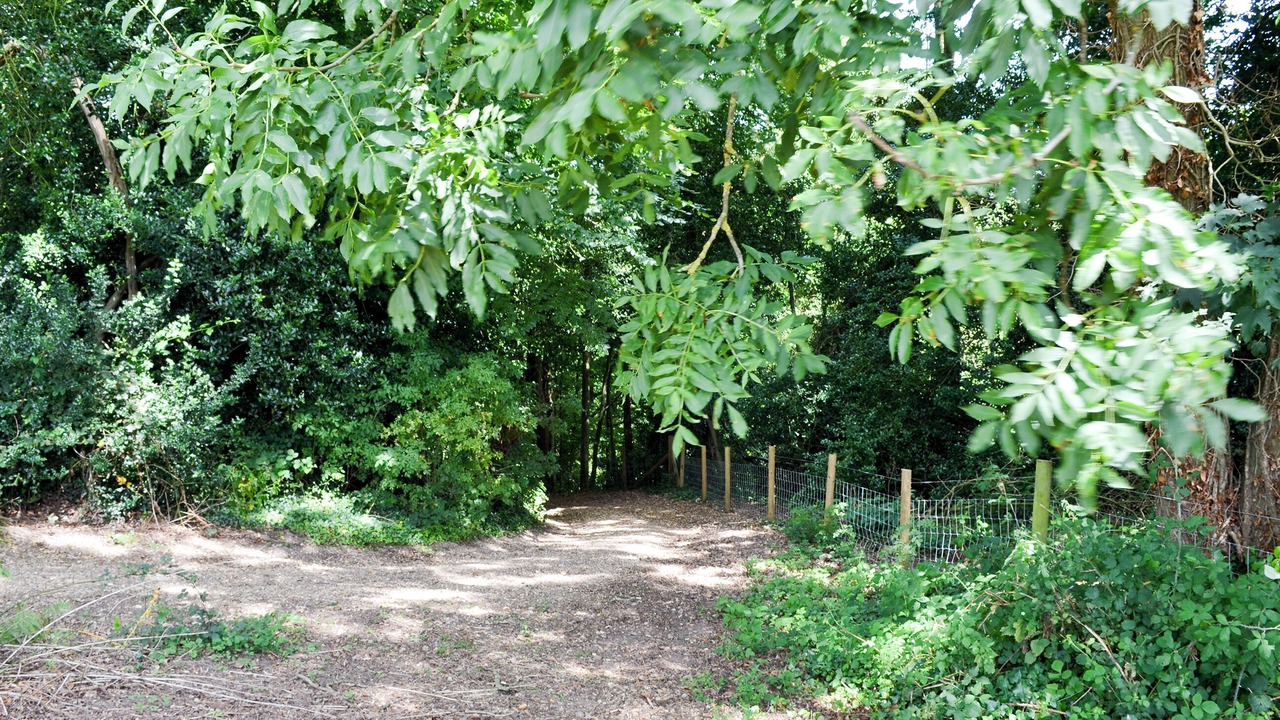 Photo of Others in New Forest District